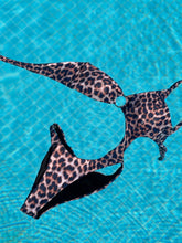 Загрузить изображение в средство просмотра галереи, SPYCE леопард